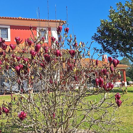 Casa Da Ria - Turismo Rural Ílhavo Esterno foto