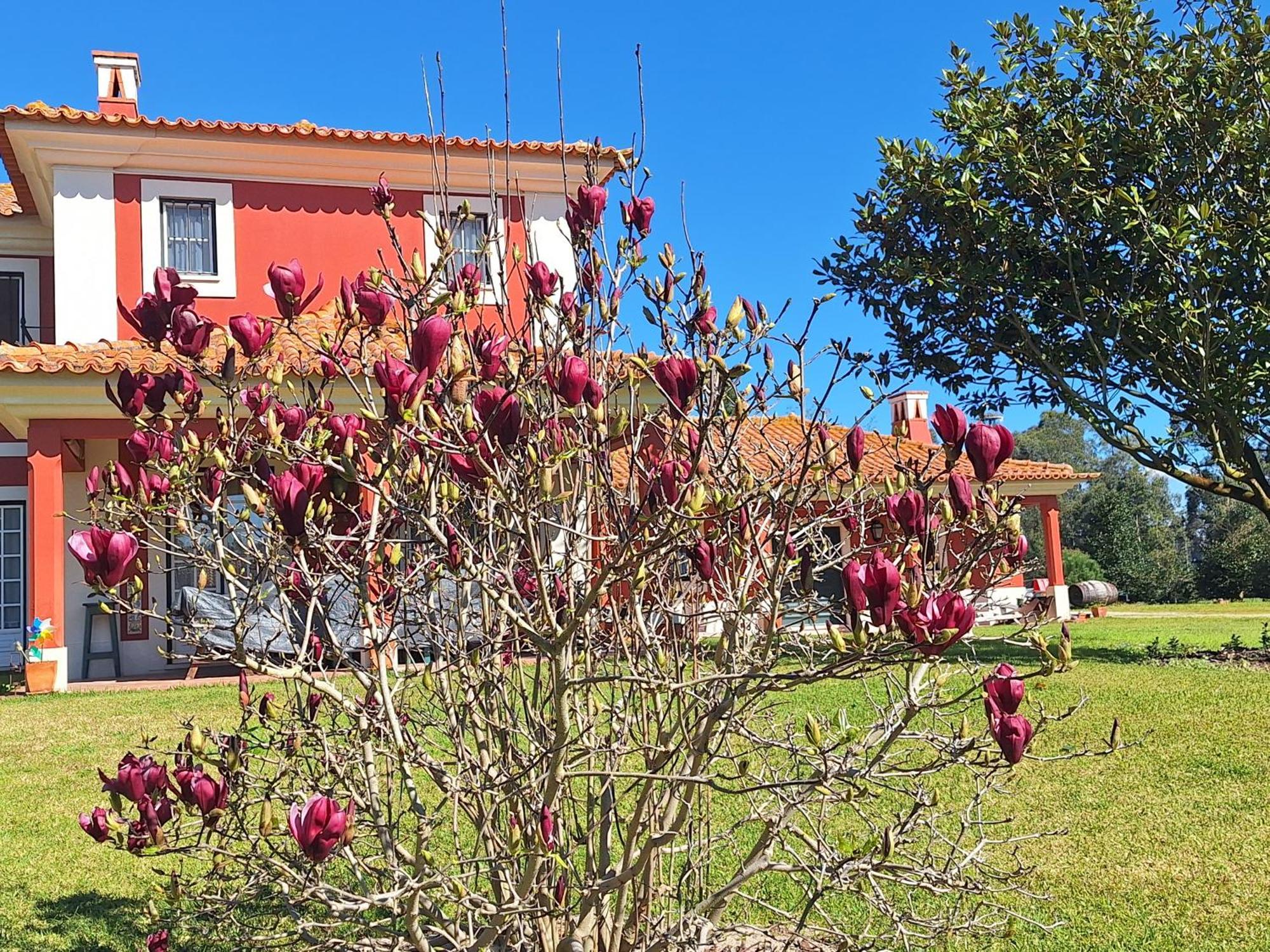 Casa Da Ria - Turismo Rural Ílhavo Esterno foto